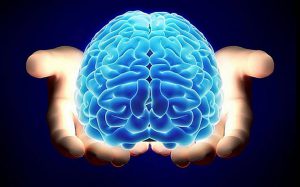 Lee más sobre el artículo Día Mundial del Cerebro: las principales recomendaciones para prevenir trastornos