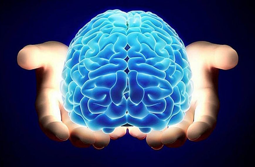 D&iacute;a Mundial del Cerebro: las principales recomendaciones para prevenir trastornos